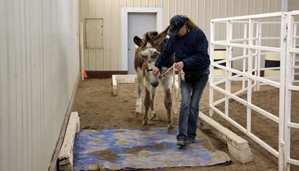 Obstacles for Coordination-4-14-20-26