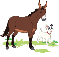 Jasper the Mule and Moxie the Dog