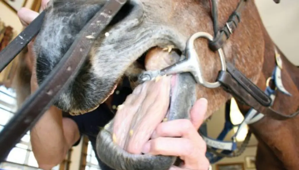 ProductionPickupShoot9-23-08-118_CC_print2