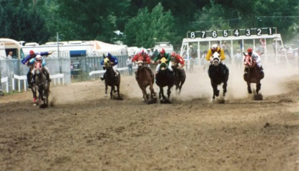 Racing-Mules-19840002_CC