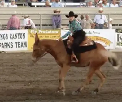 Rein-it-In-copy Rein-it-In-copy