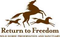 Return to Freedom logo