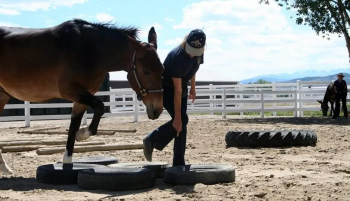 RichardShrakeClinic8-11-2010-195CC