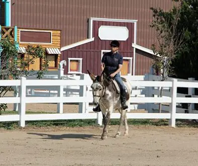 Riding-in-the-Open-Arena10-6-20_21 Riding-in-the-Open-Arena10-6-20_21