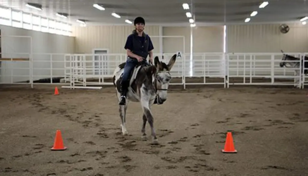 Riding the Hourglass Pattern9-29-20_16