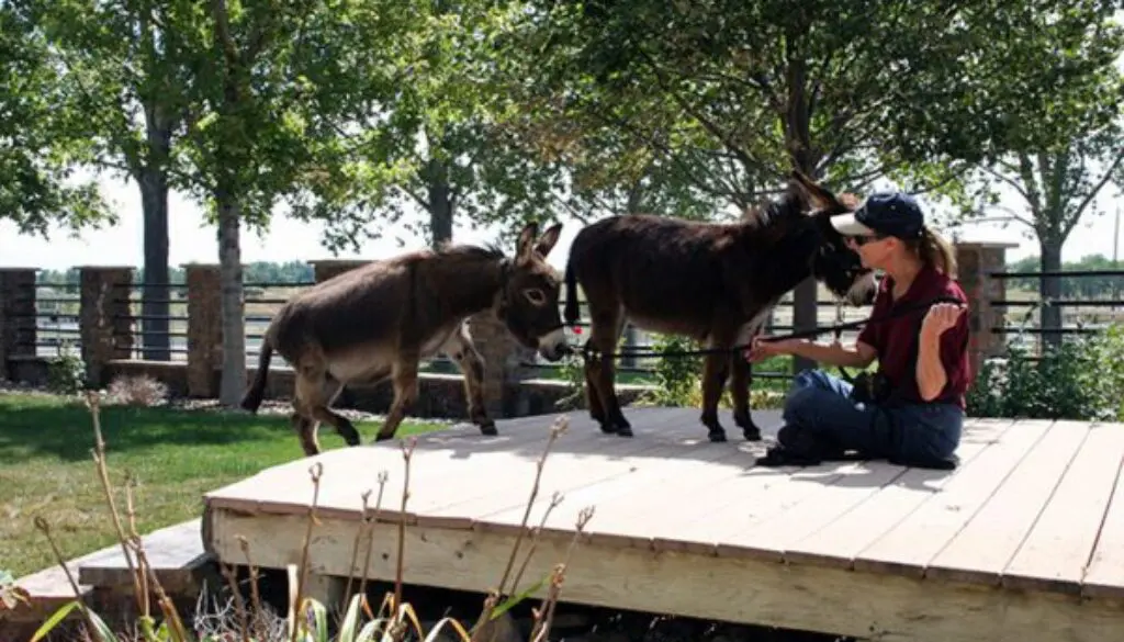 RockWorkout9-13-11-257CC