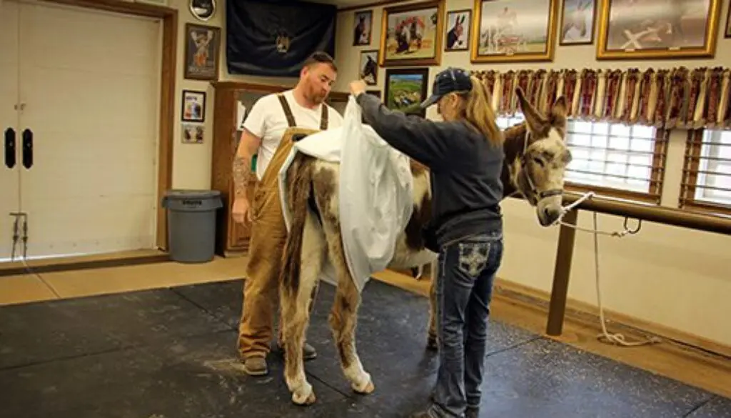 Soaking the Infection 4-15-20-16