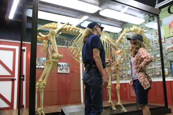 TMD-EU Grad Clinic 002-0