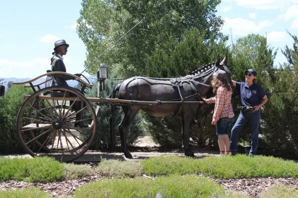 TMD-EU Grad Clinic 003-0