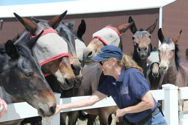 TMD-EU Grad Clinic 004-0