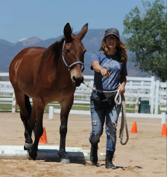 TMD-EU Grad Clinic 007-2