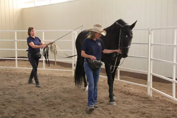 TMD-EU Grad Clinic 010-0