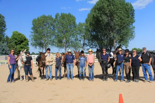 TMD-EU Grad Clinic 013