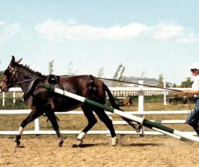 TT-114