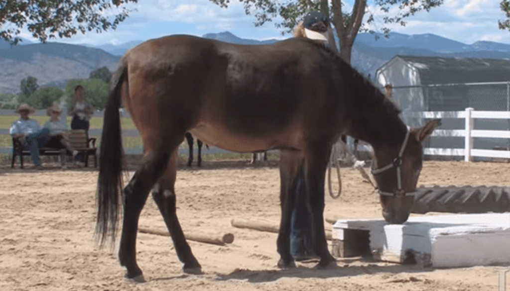 TT44-LeadingStraightObstacles-slideshow