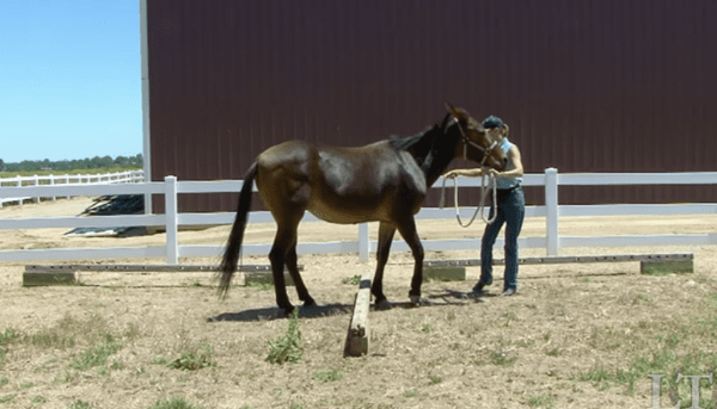 TT47-SidePassingT-slideshow