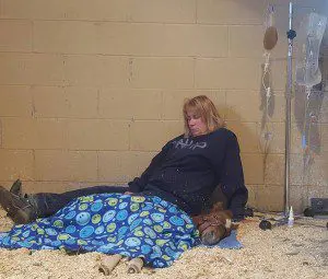 Thumbellina___P_at_vet