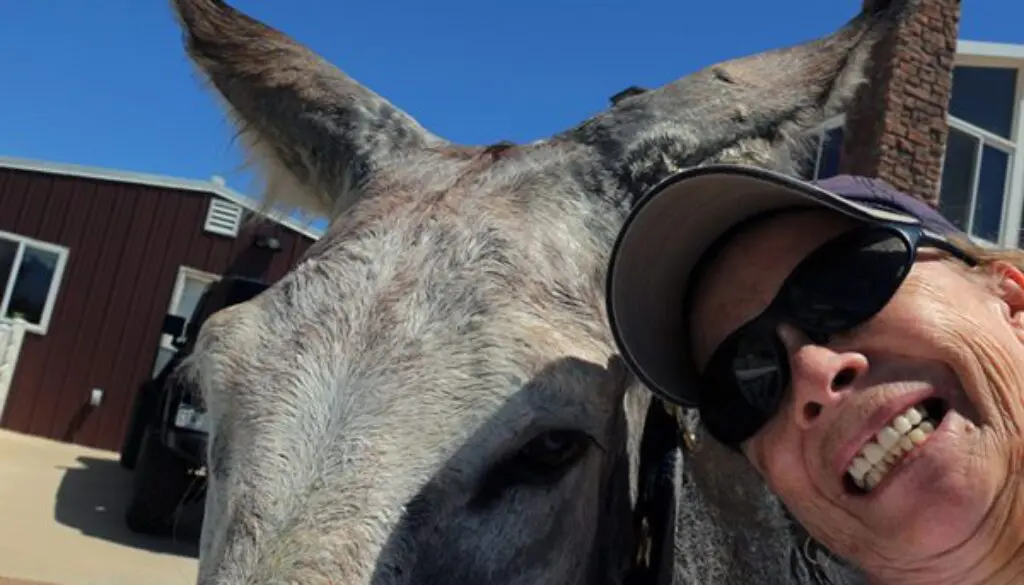 Wrangler-Summer-Bath-001