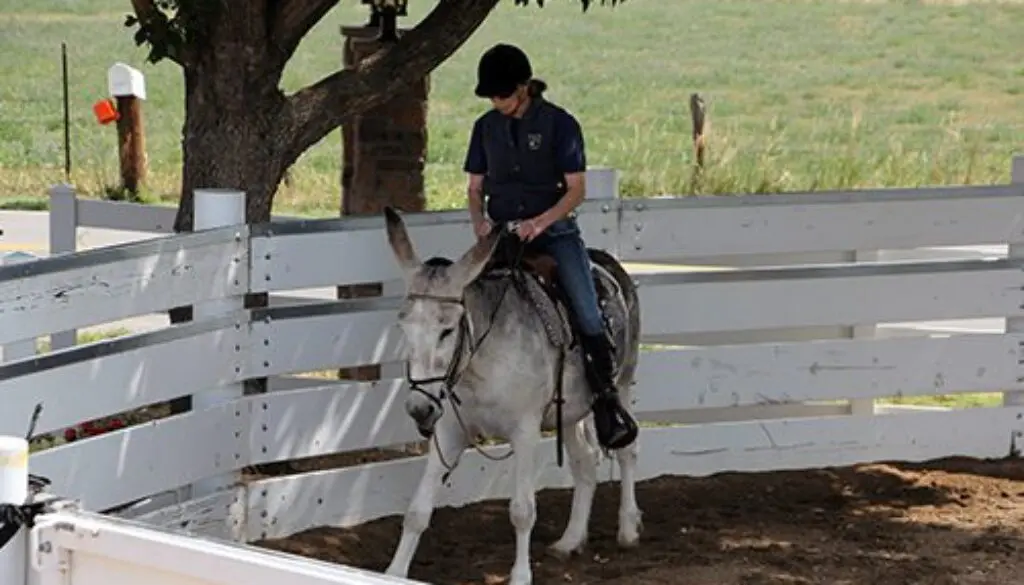 Wrangler’s First Ride_9-15-20_15