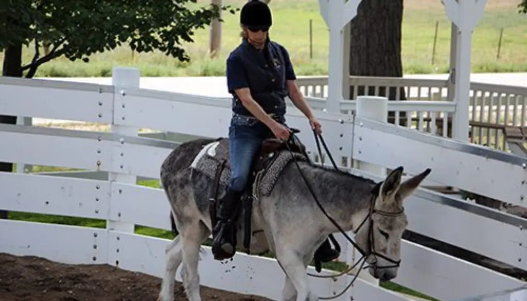 Wranglers-First-Ride_9-15-20_21