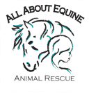 all about equine rescue