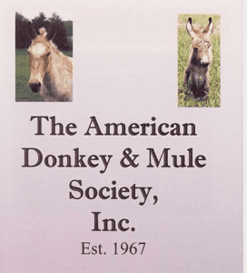 articlephoto-reflectingonlongearsfinal