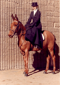 articlephoto-youthspotlightdenahodgesfinal