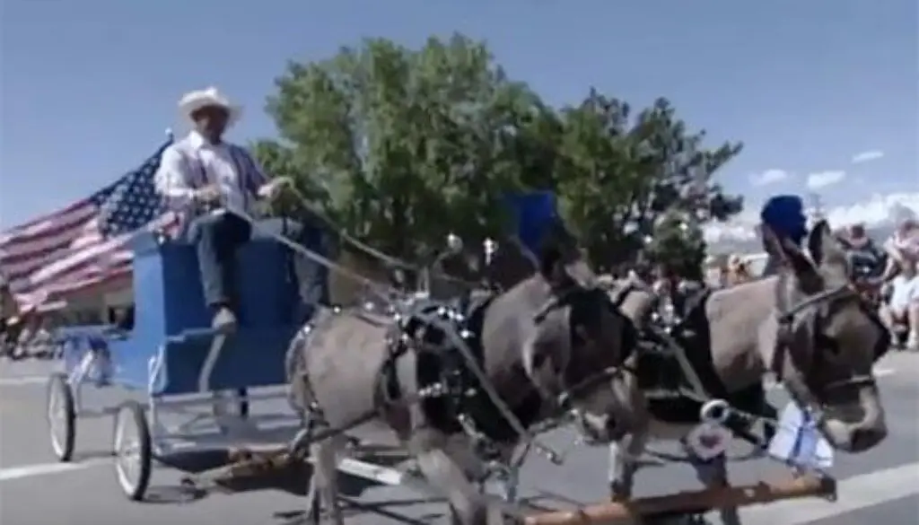 drivingthumbnail-copy