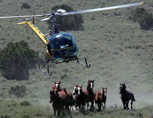 slide11_welfare_1125