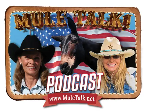 slide4_muletalk_0826