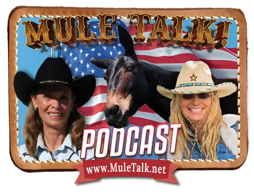 slide4_podcast_0526