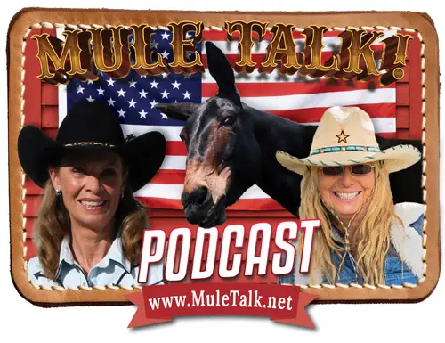 slide4_podcast_0626