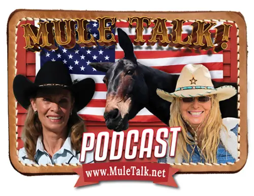 slide4_podcast_0726