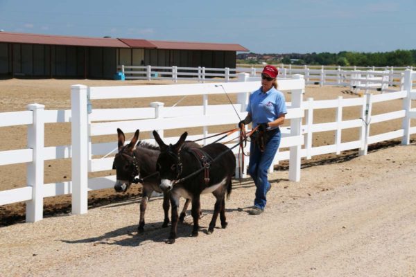 augie-spuds-ground-drive-8-19-16-023_cc