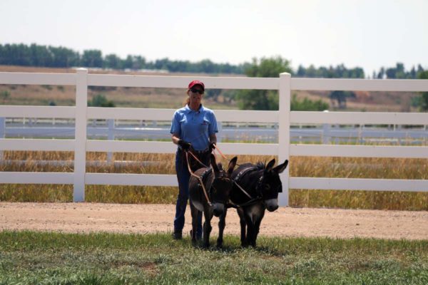 augie-spuds-ground-drive-8-19-16-053_cc