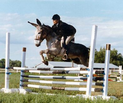 CCLJjumpinghorizontal