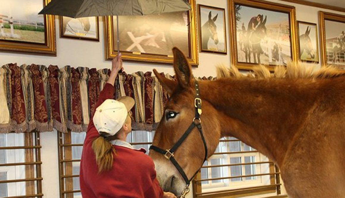 CROPRockNRollWorkout4-26-11-047