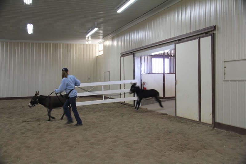 “Oh, Spuds, quit being silly. It’s just the indoor arena!”