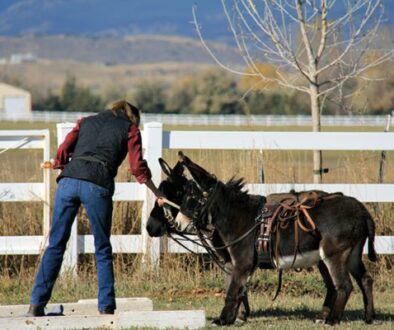 IMG_8533CC