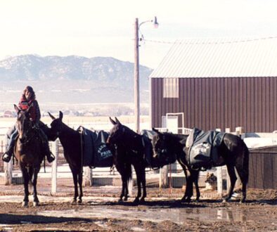 LTRPackMules1-1986CC