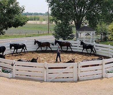 MC_RoundPen_Good Manners Photo 003