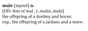 Mule Definition