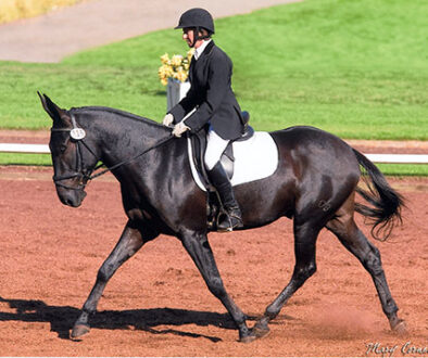 Mules-Accepted-by-U.S.E.F.-in-Dressage_5