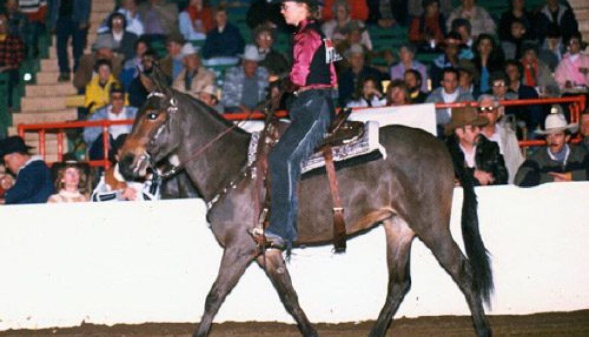 NationalWesternStock1986-2