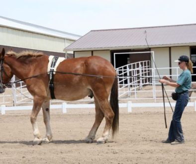OldBarnDemo-RockRollWkt7-5-11 235_CC