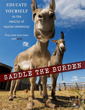 Saddle the Burden