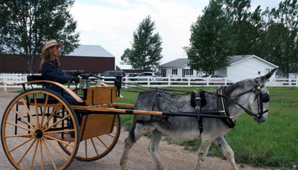 ProductionShoot7-20-2010-102CC