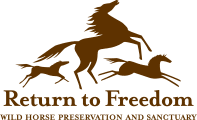 Return to Freedom logo
