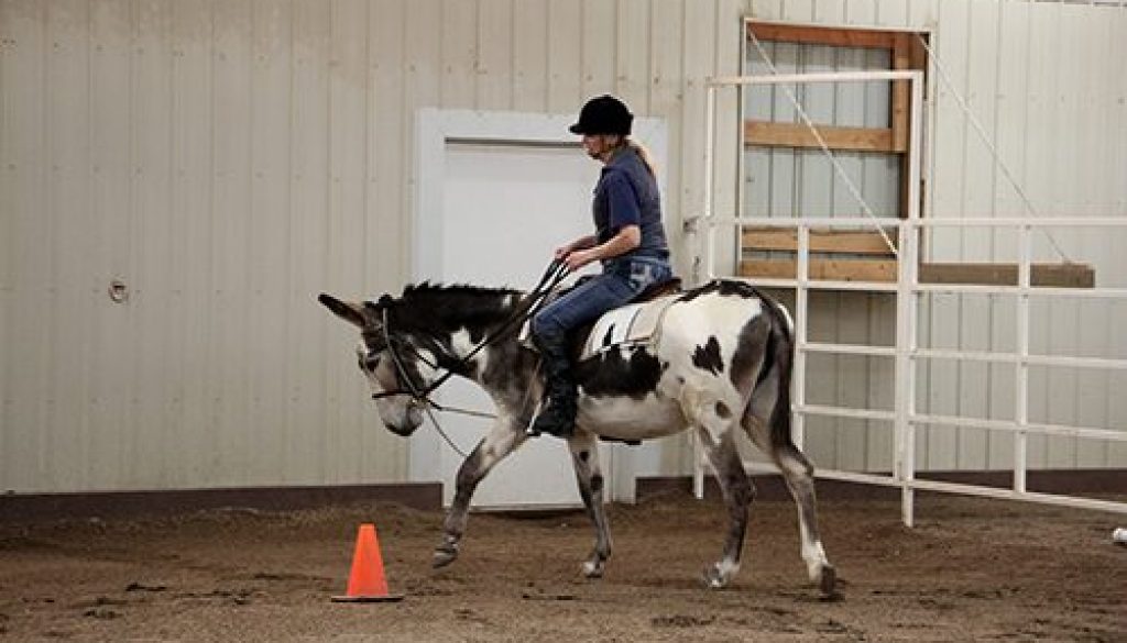 Riding the Hourglass Pattern9-29-20_15