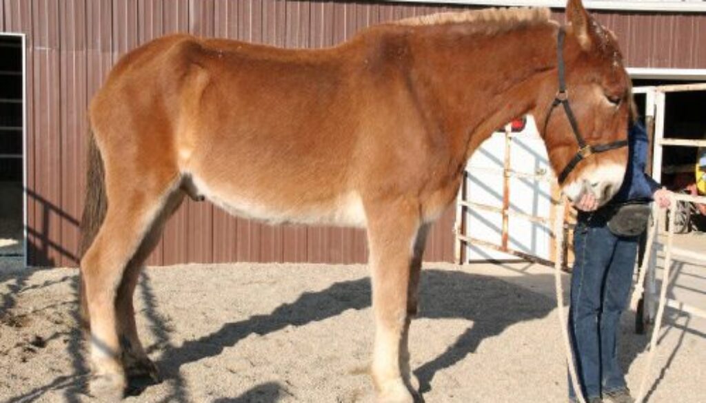 Rock and Roll Diary-12-5-10_12